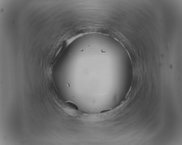 X0000071830045200607211813