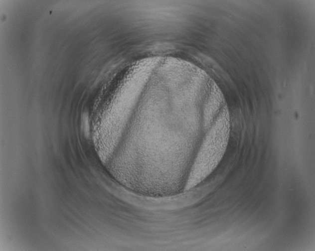 X0000071830046200607211813