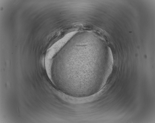 X0000071830047200607211813