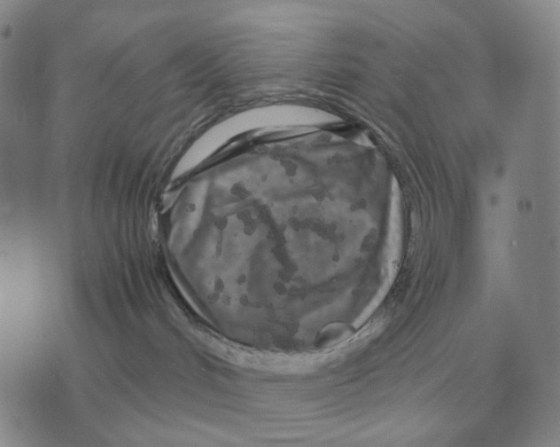 X0000071830048200607211812