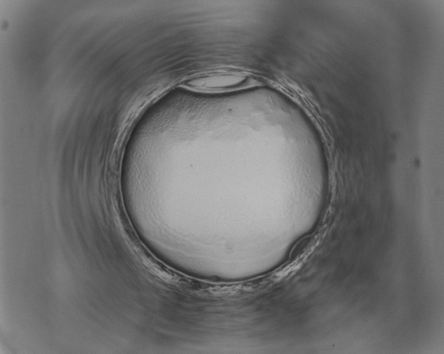 X0000071830049200607211812