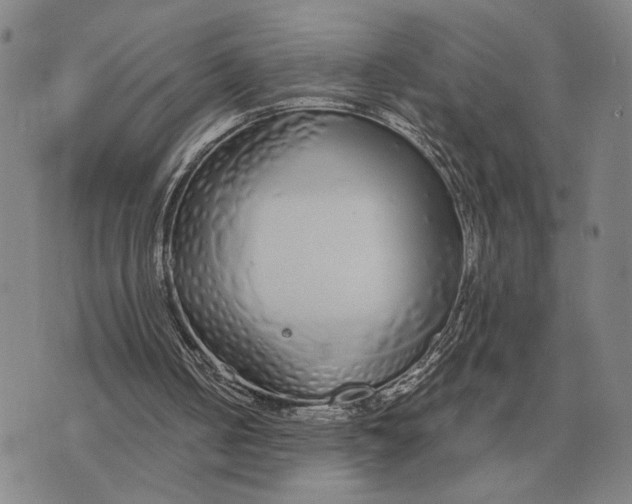 X0000071830050200607211812