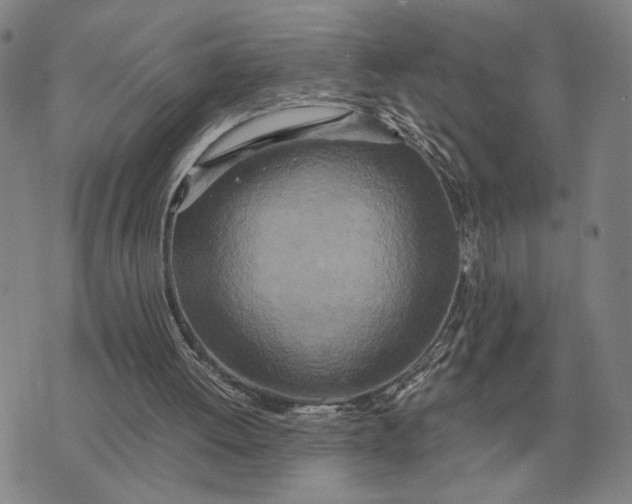 X0000071830052200607211812