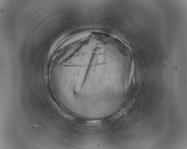 X0000071830053200607211812