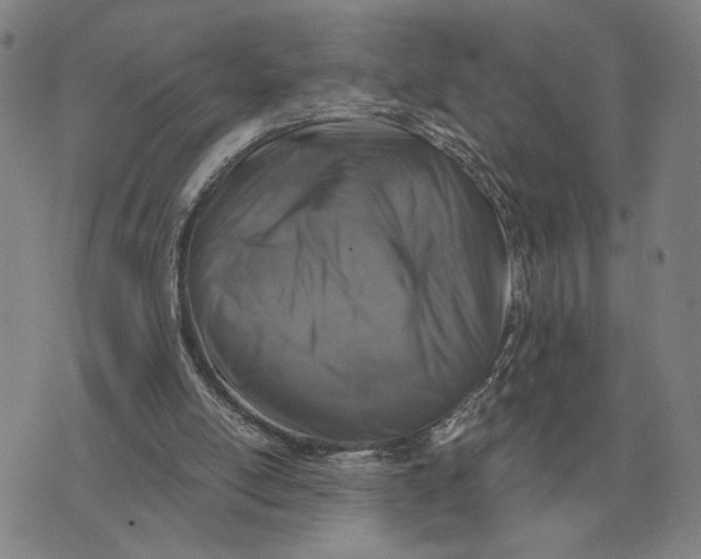 X0000071830054200607211812