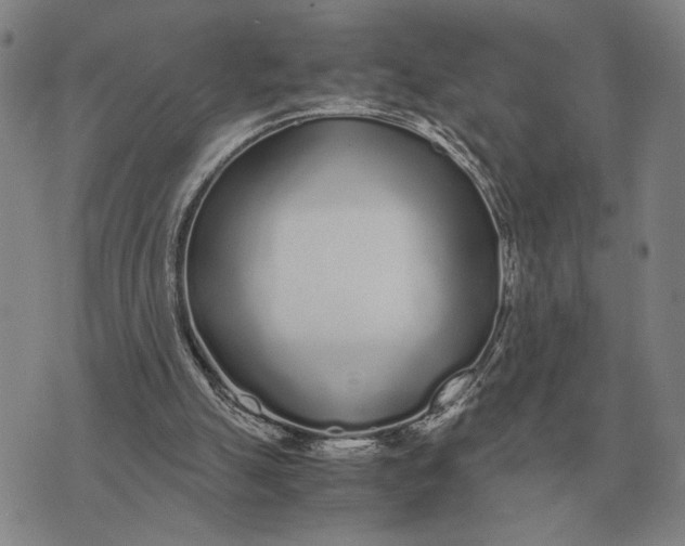 X0000071830055200607211812