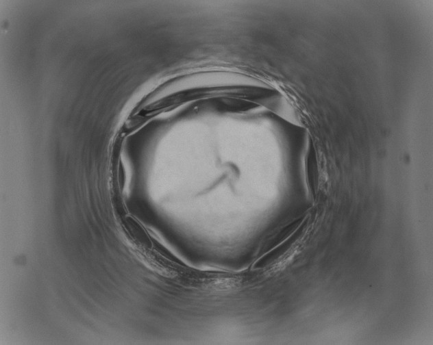 X0000071830056200607211812