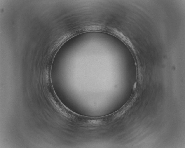 X0000071830057200607211812