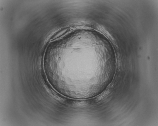 X0000071830058200607211812