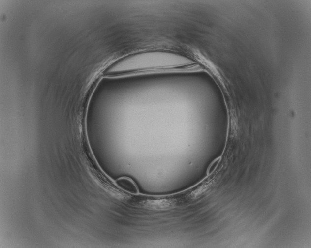 X0000071830059200607211812