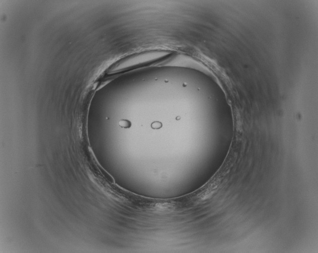 X0000071830060200607211812