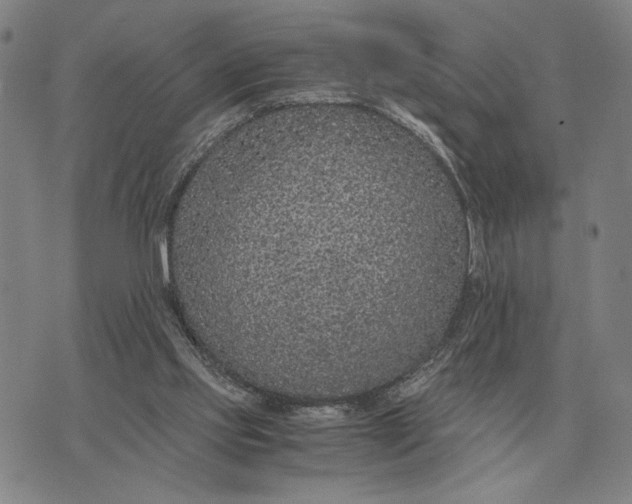 X0000071830061200607211812