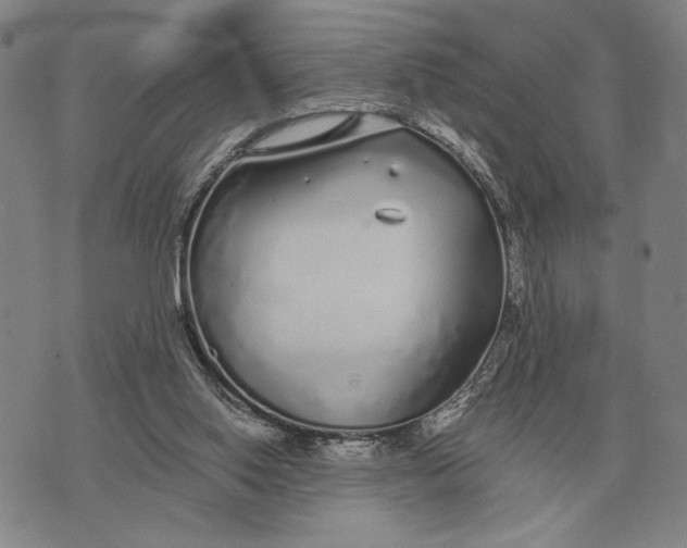 X0000071830062200607211812