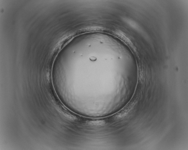 X0000071830063200607211812