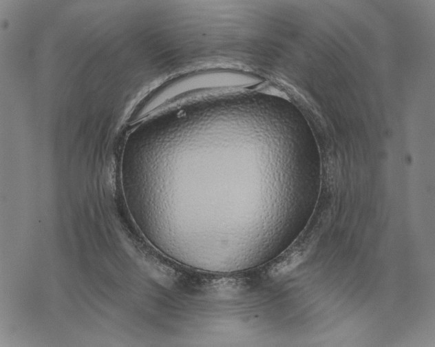 X0000071830064200607211812