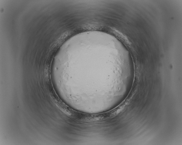 X0000071830065200607211812