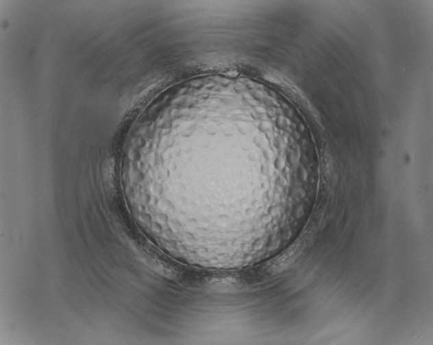 X0000071830066200607211812