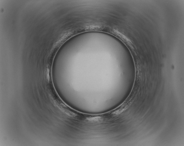 X0000071830067200607211812