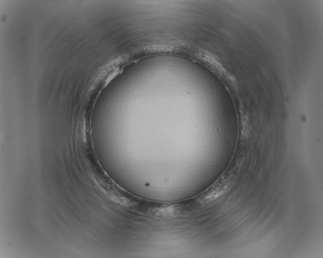 X0000071830068200607211812