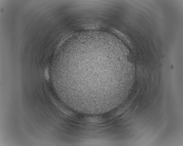 X0000071830069200607211812