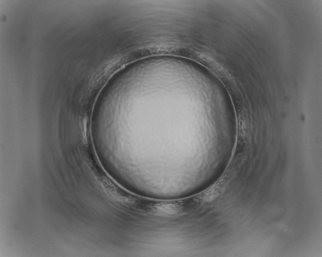 X0000071830070200607211812