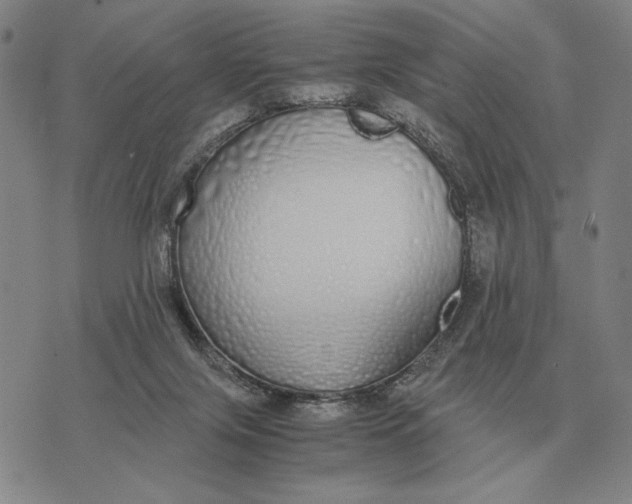 X0000071830071200607211812