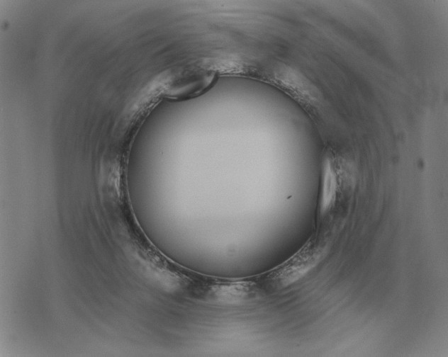 X0000071830072200607211812