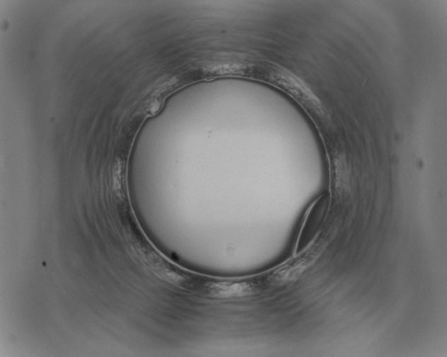 X0000071830073200607211812