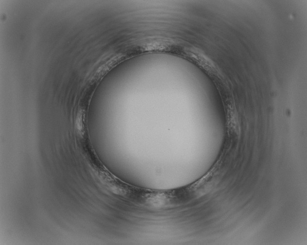 X0000071830074200607211812