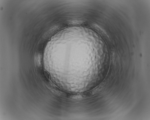 X0000071830075200607211812