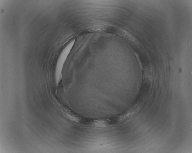 X0000071830076200607211812