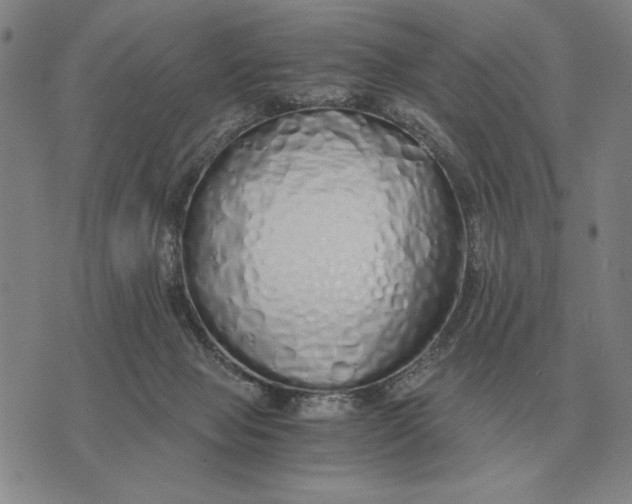 X0000071830077200607211812