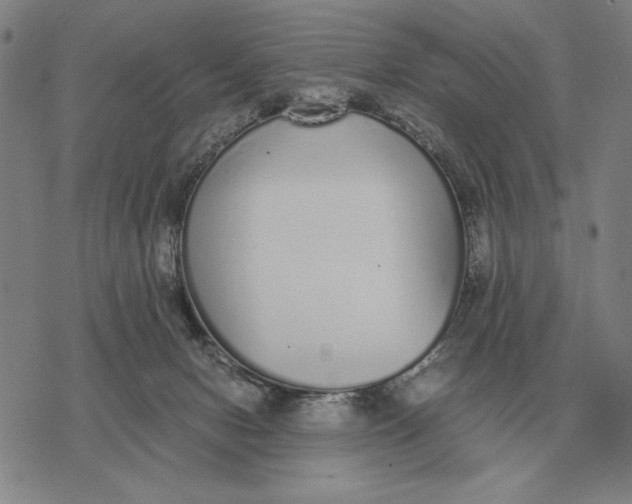 X0000071830078200607211812