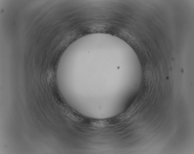 X0000071830079200607211812