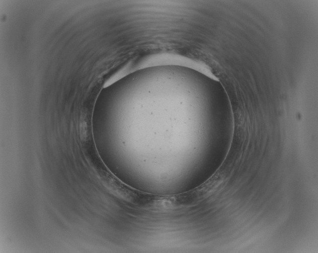 X0000071830080200607211812