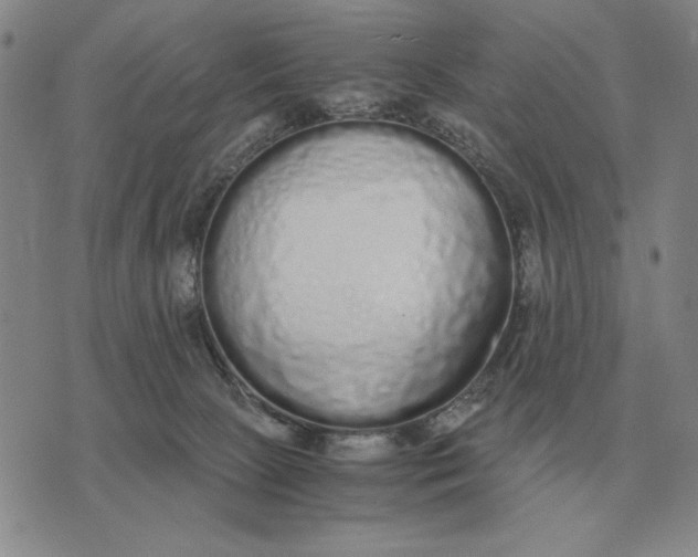 X0000071830081200607211812