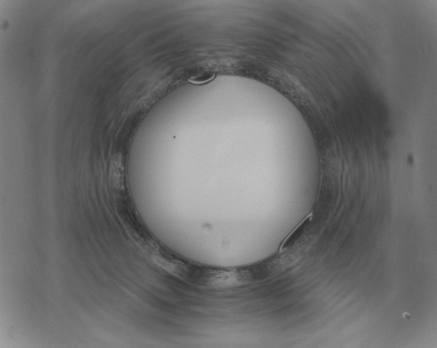 X0000071830083200607211812