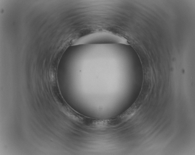 X0000071830084200607211812