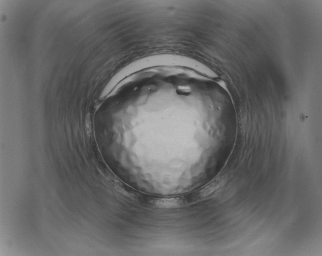 X0000071830085200607211812