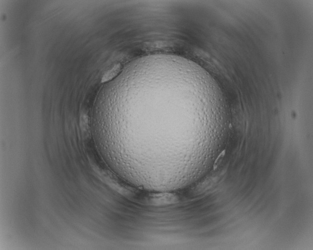 X0000071830087200607211812