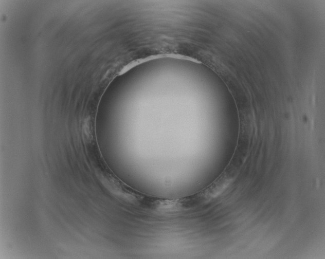 X0000071830088200607211812