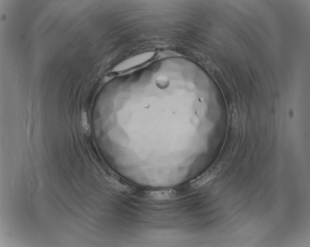 X0000071830089200607211812