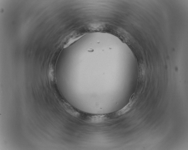 X0000071830090200607211812