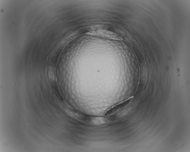 X0000071830091200607211812