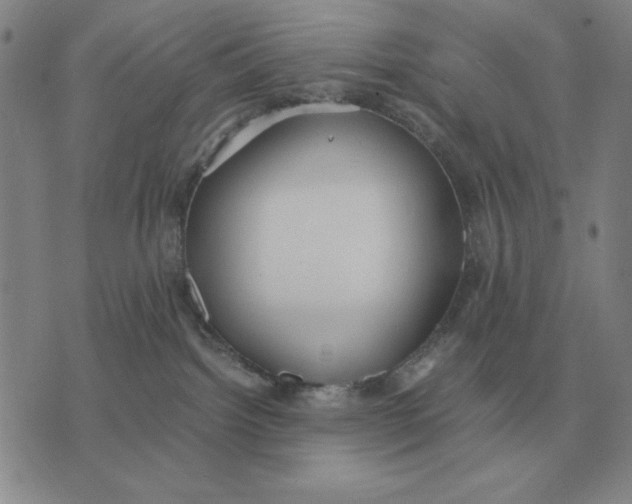 X0000071830092200607211812