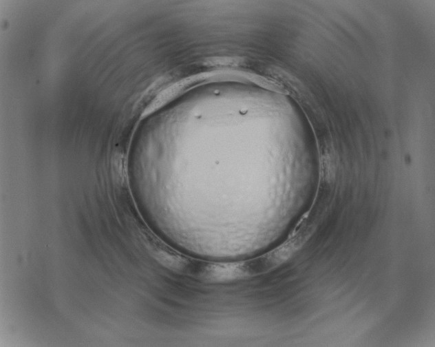 X0000071830093200607211812