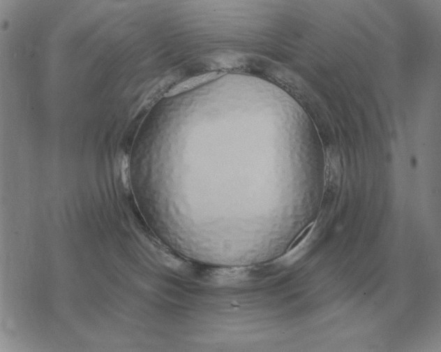 X0000071830094200607211812