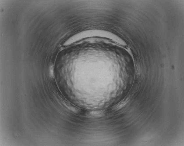 X0000071830095200607211812