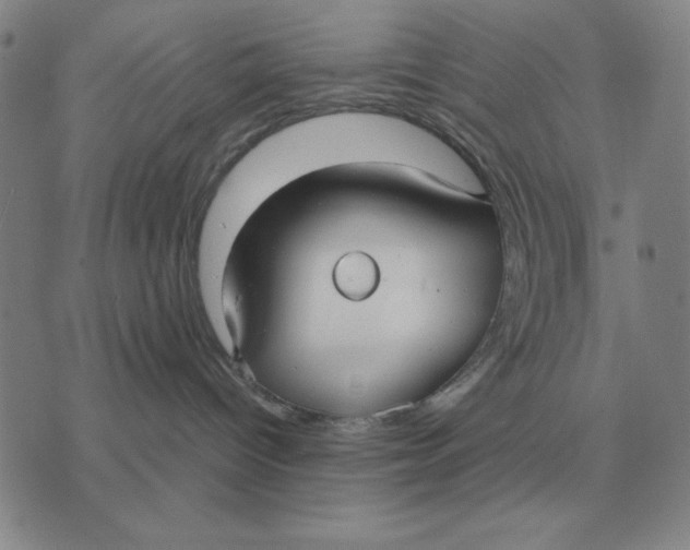 X0000071830096200607211812