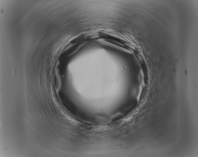 X0000071830097200607211812